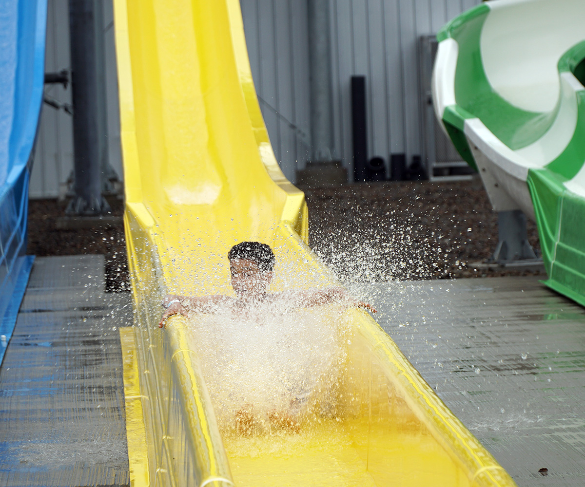 Puffin Plunge